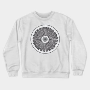 Diatom - Arachnodiscus - Artwork Crewneck Sweatshirt